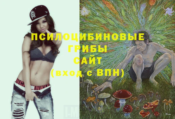 амфетамин Заволжск