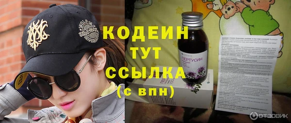 ГАЛЛЮЦИНОГЕННЫЕ ГРИБЫ Нестеровская