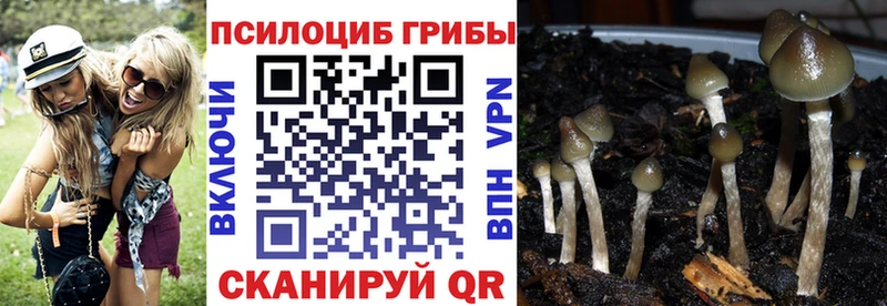 наркошоп  Перевоз  Псилоцибиновые грибы мухоморы 